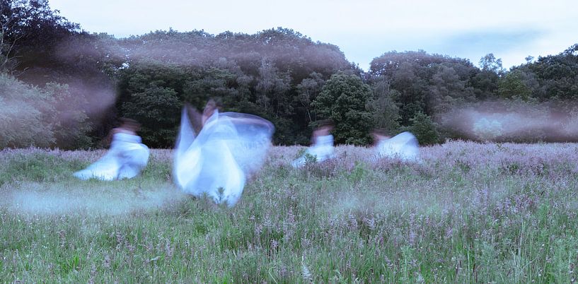 Weiße Wölfe | Porträt in der Natur von Marleen Schellekens