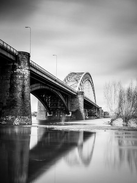 Nijmegen Hochwasser #13 von Lex Schulte