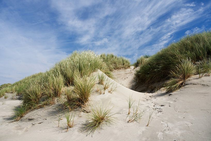 Dune on the island of Baltrum by Anja B. Schäfer