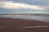 "Gros plan sur la plage de Maasvlakte".