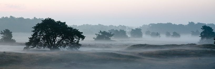 Fog over the Leuvenum Woods by Maurice Verschuur
