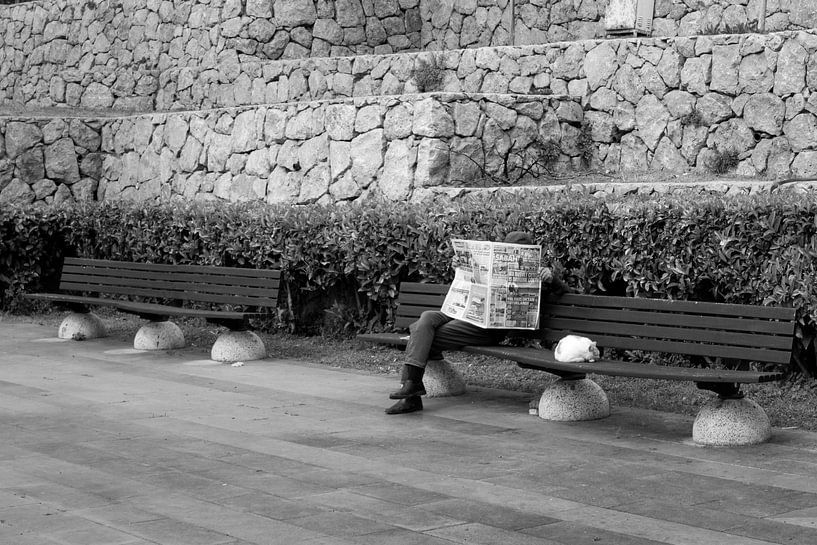 Zeitungsleser mit Katze von Flatfield