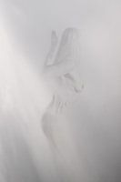 Female nude in light mist
