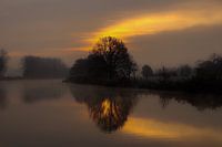 Zonsopkomst met een boom.