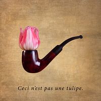 Ceci n'est pas une tulipe