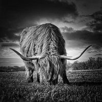 Mein Lieblings-Highlander