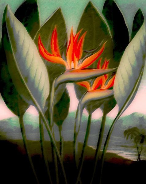 Zachte Strelitzia bloemen in het regenwoud van FRESH Fine Art