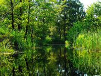 Tranquillité sereine