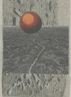 Wunder der Landschaft: Finde deinen eigenen Weg