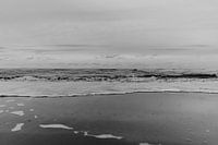 Noordwijk aan zee | Mer du Nord aux Pays-Bas