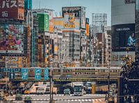 Une journée ensoleillée et bien remplie à Tokyo (Japon).