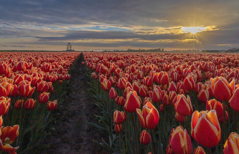 Sonne durch die Wolken von peterheinspictures