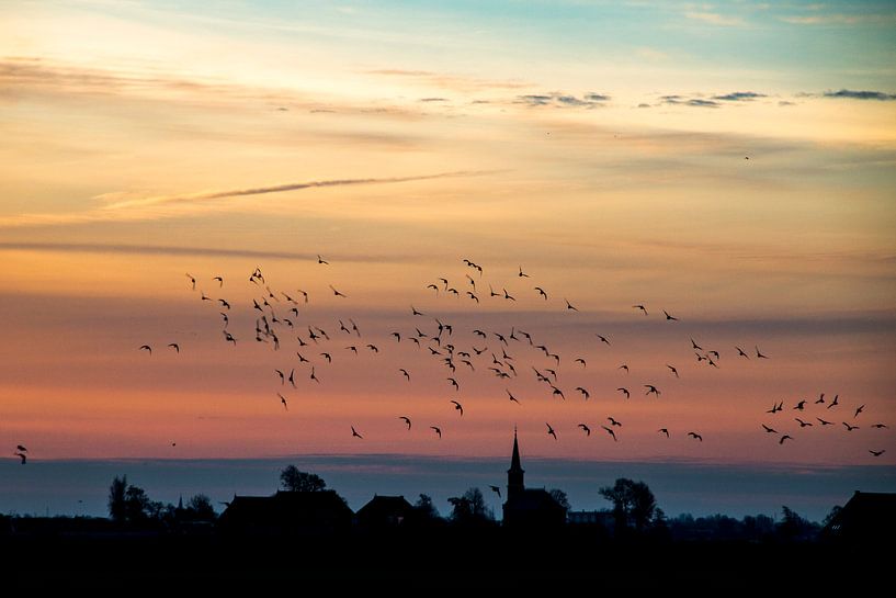 Vogels in de ochtendlucht boven Warstiens by Tilja Jansma