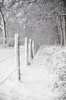 Winter in nederland