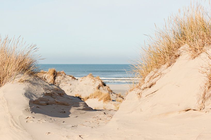 Blick aufs Meer zwischen den Dünen von Terschelling von Marjan Schmit Visser