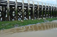 Blankenberge pier pier pier pier