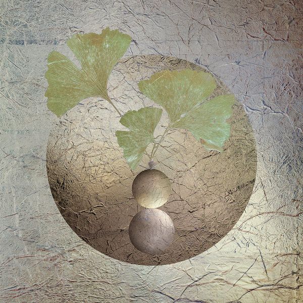 Ginkgo. Équilibre. Gris. par Alie Ekkelenkamp