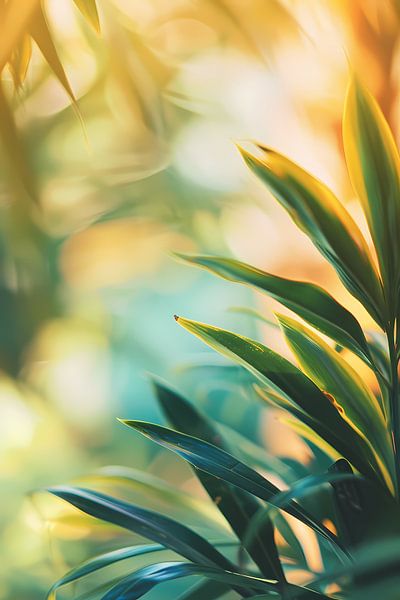 Green leaves in warm sunlight by Imperial Art House