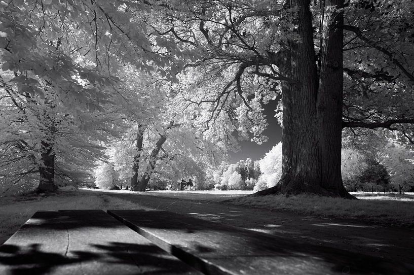 Landsitz Twickel von Laurents ten Voorde