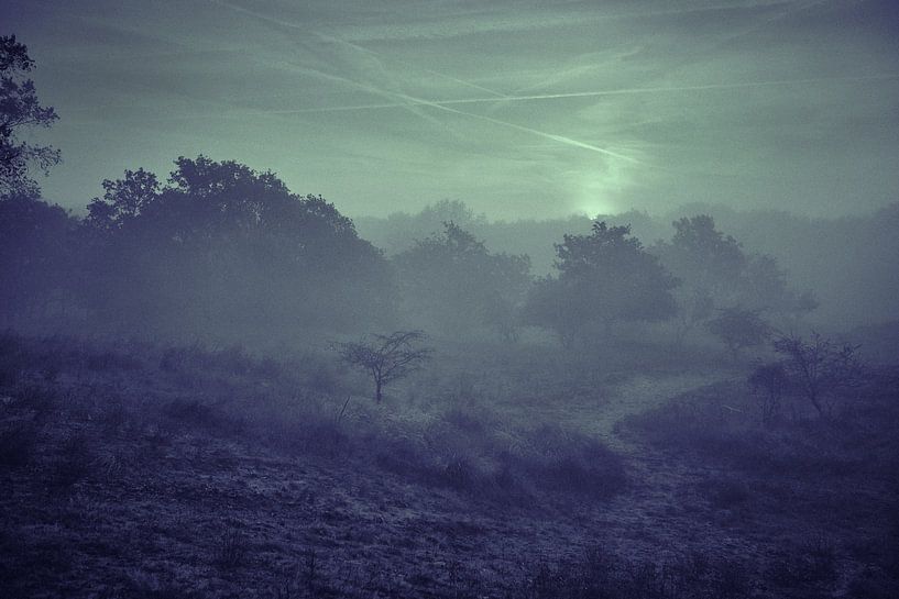 Paysage de dunes dans la brume par Karel Ham