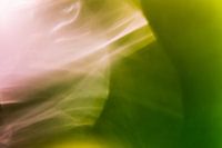 Groene en Violette Hersengolven