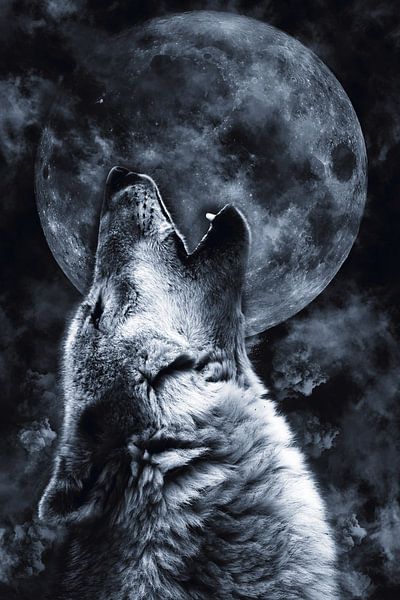 Lune des loups par Mateo