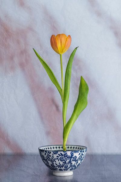 Dutch Ikebana 5. by Pieter van Roijen