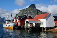 Fischerboot in Reine (Norwegen , Lofoten)