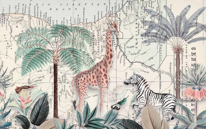 Afrikas Wilde Tiere von Andrea Haase