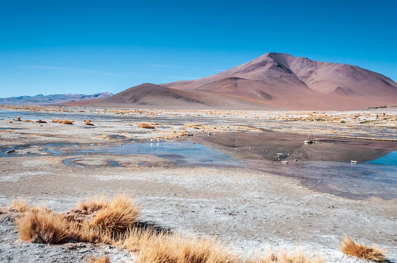 Spiegelung von Alex Neumayer