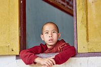 Junger Mönch beim Zuschauen eines Festivals in Myanmar.