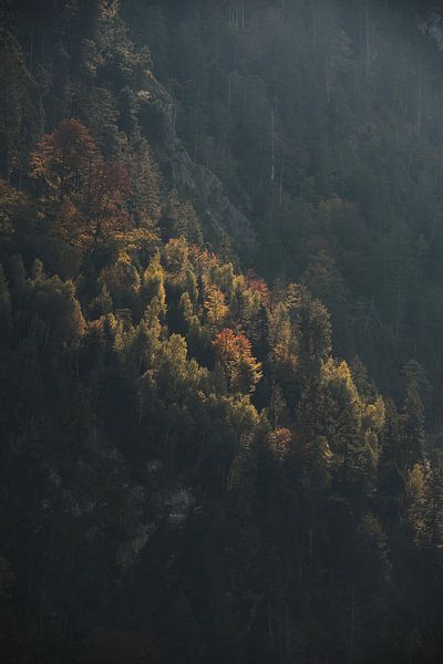 First  Light von Marvin Schweer