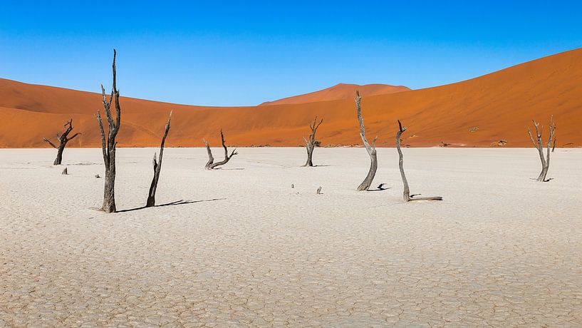 Panorma of Deadvlei in Namibia by OCEANVOLTA