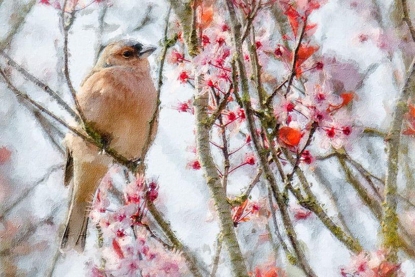 Finch enjoying the spring blossom (painting) by Art by Jeronimo