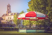Domtoren from Park Lepelenburg