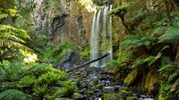 Hopetoun Falls, Victoria Australia
