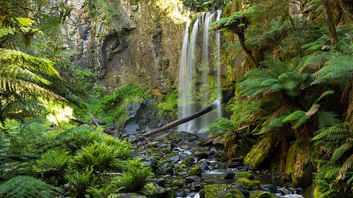 Hopetoun Falls, Victoria Australien von Chris van Kan