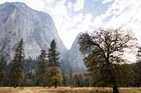 Yosemite mountains