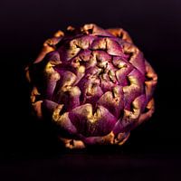 Artisjok in al haar schoonheid