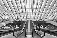 Symmetrie in Guillemins