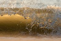 Beer drinking beverage salt water golf branding Domburg, Zeeland, Netherlands.