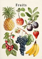 Collection de fruits