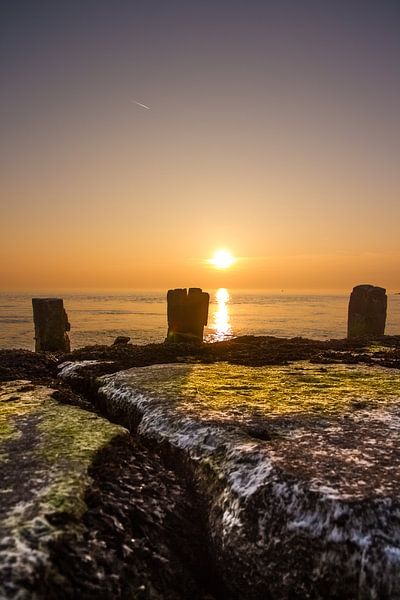 Paalhoofden bij zonsondergang by Rob Altena