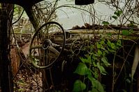 Autofriedhof Bastnäs Schweden, Autowrack