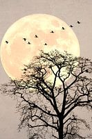 Japandi. landscape with a silhouette of a tree , with moon and birds