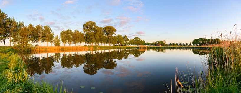 Soleil matinal sur le Kleine Bouwkolk au Zwartendijk près de Kampen par Sjoerd van der Wal Photographie