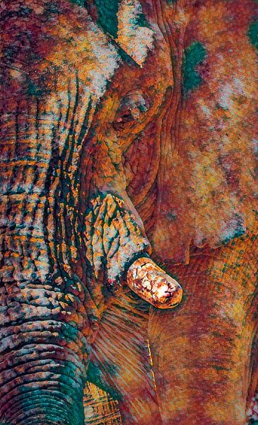 Loxodanta Africana von Loris Photography