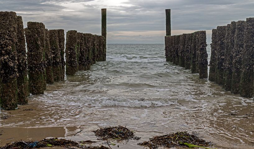 Wellenbrecher von MSP Canvas