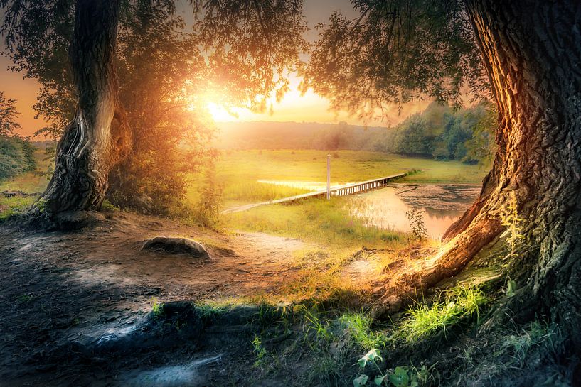 De Blauwe Kamer by Wesley Heyne