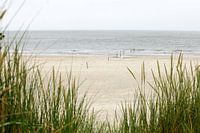 Dünen, Strand und Meer auf der niederländischen Watteninsel Ameland, in der Nähe von Hollum.